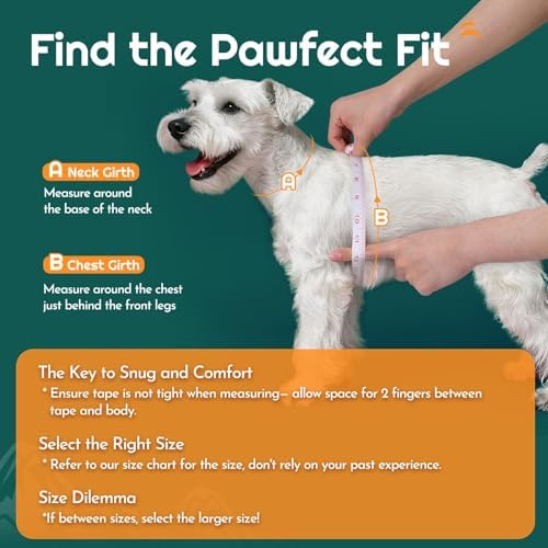 Eagloo Small Dog Harness and Leash Set, Step in Small Sized Puppy Pet Vest - Image 2