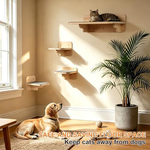 Cat Wall Shelves - Image 5