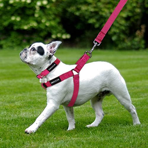 No Pull Dog Harness, Leash & Collar Set, Adjustable Step-in Vest - Image 6