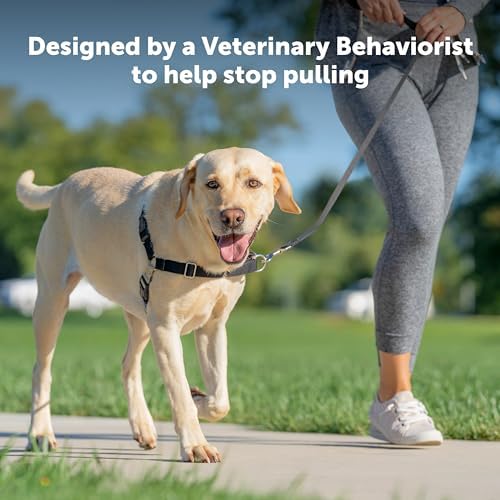 PetSafe Easy Walk Harness, No Pull Dog Harness, Petite/Small - Image 2