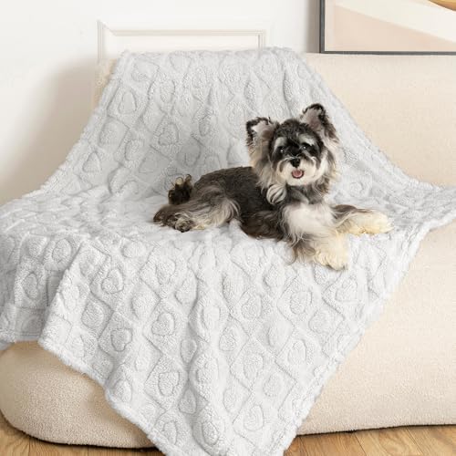 gogobunny Large Pet Blanket for Dogs Cats, Ultra Soft 300GSM Coral Fleece - Image 5