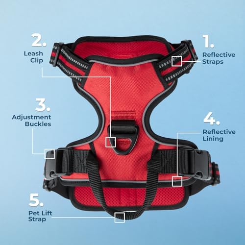 Voyager Dog Harness Dual Leash Attachment No-Pull Control Adjustable Soft but - Image 6