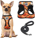 BEAUTYZOO Halloween Dog Harness Medium Sized and Leash Set, No Pull Pet Vest by BEAUTYZOO
