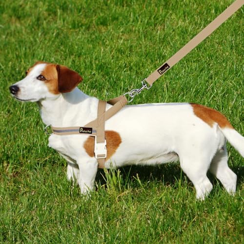 Plutus Pet Cotton Dog Harness and Leash Set, Reflective and Soft Padded - Image 6