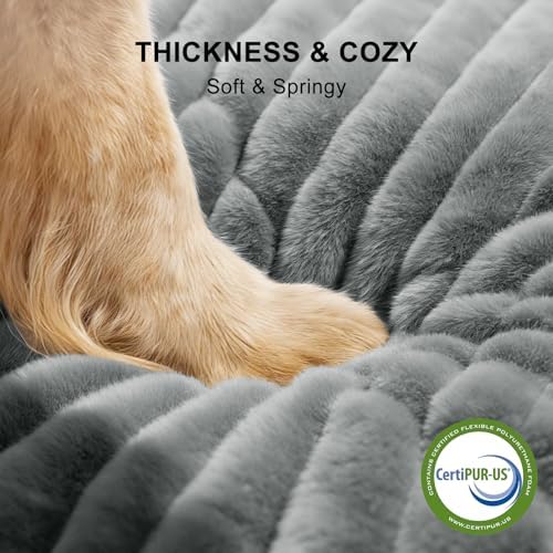FURTIME Dog Bed for Small Medium Dog, Washable Orthopedic Pet Bed - Image 3