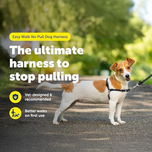 PetSafe Easy Walk Harness, No Pull Dog Harness - Image 3