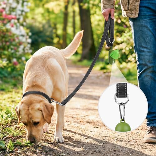 Joytale Reflective Dog Leash for Medium & Large Dogs, 4 FT x 1" - Image 2
