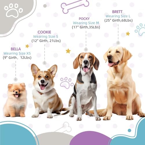 Tri-Color XS Dog Harness, Adjustable Step-in Design Puppy Harness, Heavy Duty - Image 2