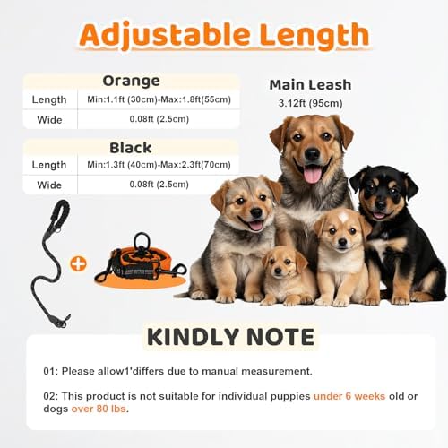 Double Dog Leash - Image 2