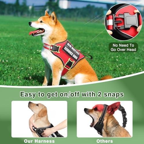 Service Dog Vest Harness and Leash Set+10 Patches, No Pull&Adjustable - Image 2