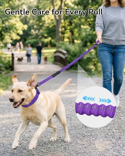 Joytale Tactical Bungee Dog Leash, Shock Absorbing No Pull - Image 3