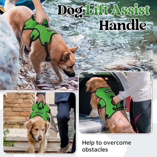 rabbitgoo Escape Proof Dog Harness - Image 3