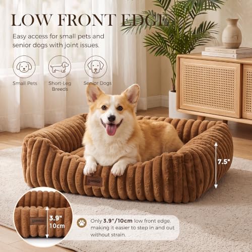 ZOMISIA Orthopedic Dog Bed for Medium Dogs - Image 3