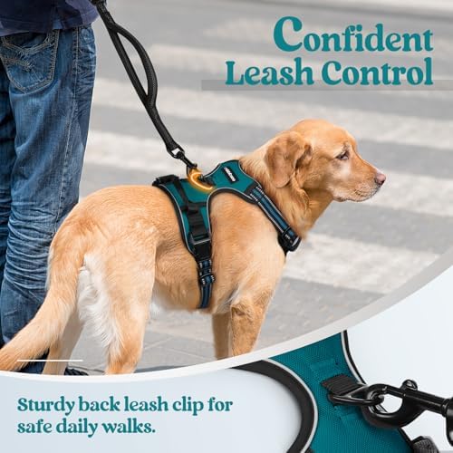 rabbitgoo Dog Harness, No Pull for Large Dogs - Image 6
