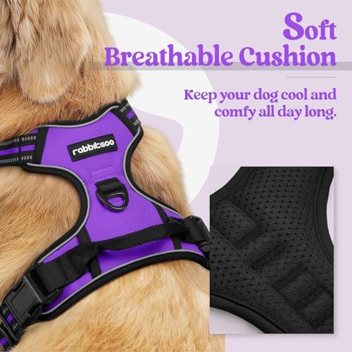 rabbitgoo Dog Harness, No Pull for Small Dogs - Image 2