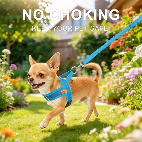 BEAUTYZOO Dog Harness Medium Sized and Leash Set, No Pull Step in Pet Vest - Image 2