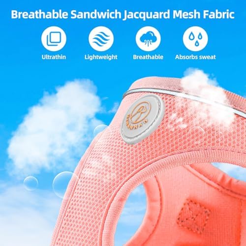 Soft Mesh Dog Harness and Leash Set, No Pull Puppy Harness and Leash Set - Image 5