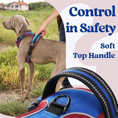rabbitgoo Dog Harness for Large, Updated Easy On & Off - Image 4