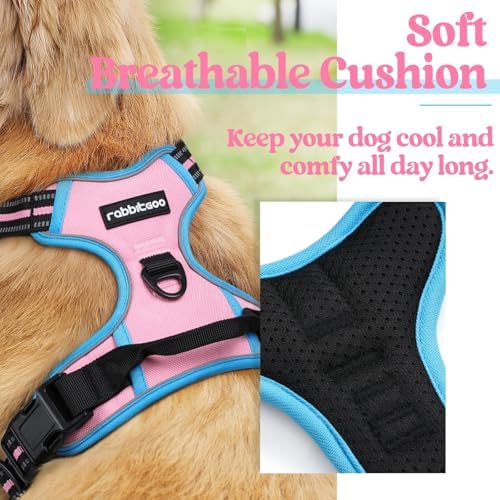 rabbitgoo Dog Harness, No Pull for Small Dogs - Image 2