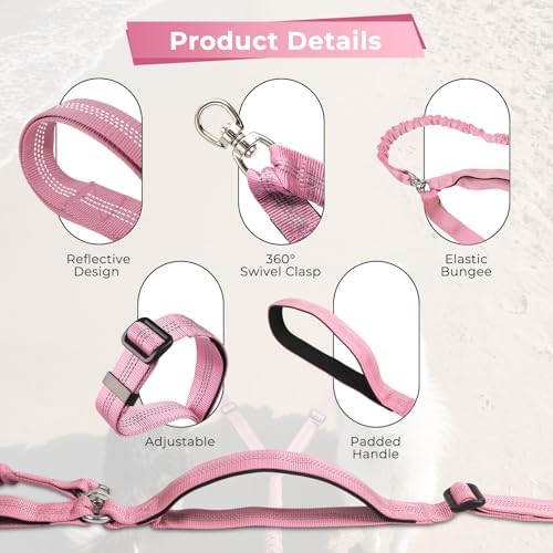 Double Leash for Two Dogs, No Tangle Bungee Dog Leash - Image 5