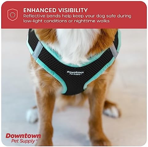 Downtown Pet Supply Step in Dog Harness No Pull - Image 7