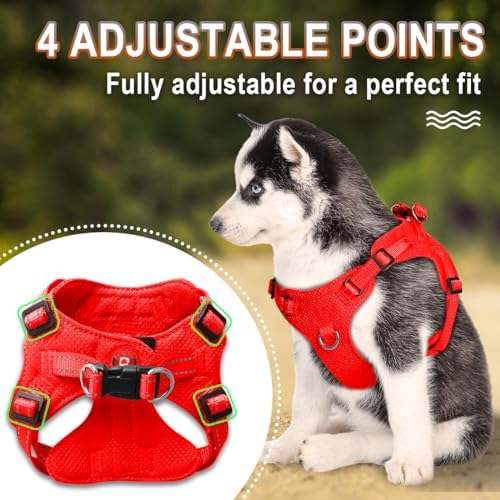 BARKBAY Small Dog Harness, No Pull Puppy Harness, Step-in Dog Vest - Image 3