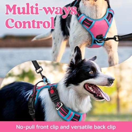 rabbitgoo Dog Harness Small Sized, No Pull 3 Buckles Easy On & Off - Image 3