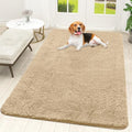 OLANLY Dog Door Mat for Muddy Paws 59x35, Super Absorbent Chenille Mud Mat by OLANLY