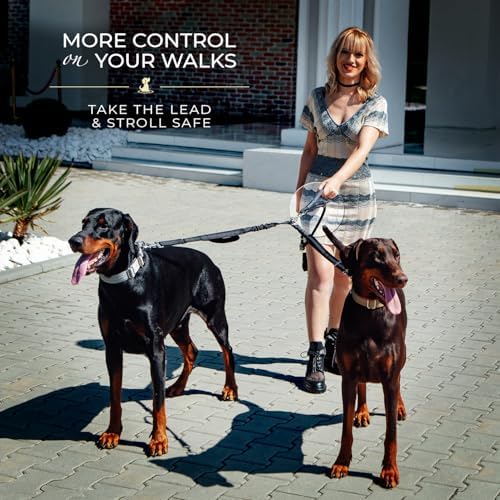 Premium Double Leash for Two Dogs, Medium & Large Breeds - Image 6