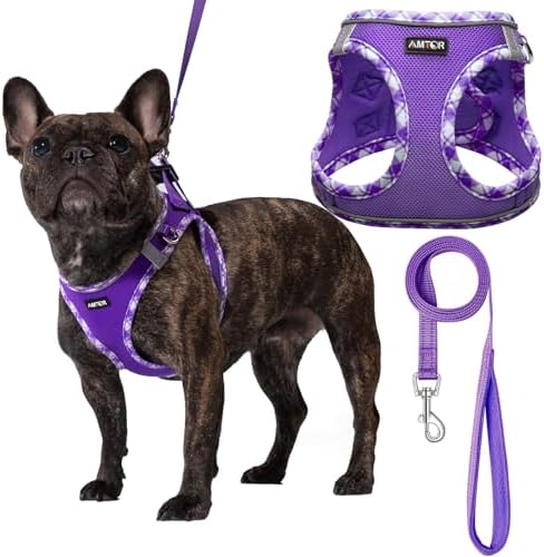 AMTOR Small Dog Harness with Leash Set, No Escape Easy Walk Puppy Harnesses by AMTOR
