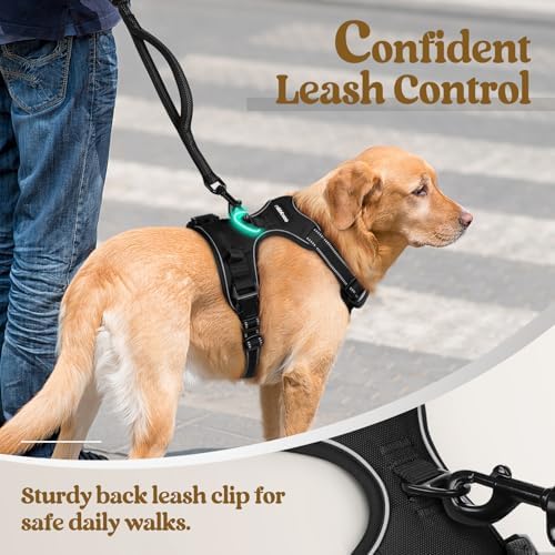 rabbitgoo Dog Harness, No Pull for Large Dogs - Image 6