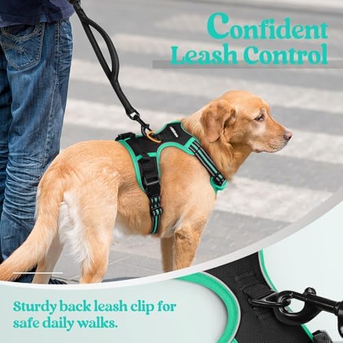 rabbitgoo Dog Harness, No Pull for Large Dogs - Image 6