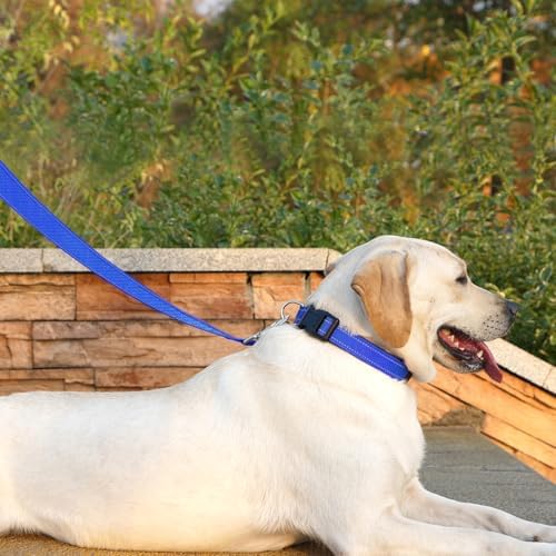6 FT Basic Dog Leash for Medium Dogs, Padded Handle - Image 3