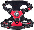 PoyPet No Pull Dog Harness Medium by PoyPet