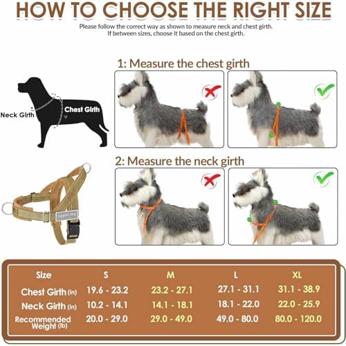 Lukovee No Pull Dog Harness and Leash Set, Soft Padded - Image 5