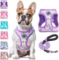 BEAUTYZOO Large Dog Harness and Leash Set, No Pull Puppy Pet Vest by BEAUTYZOO