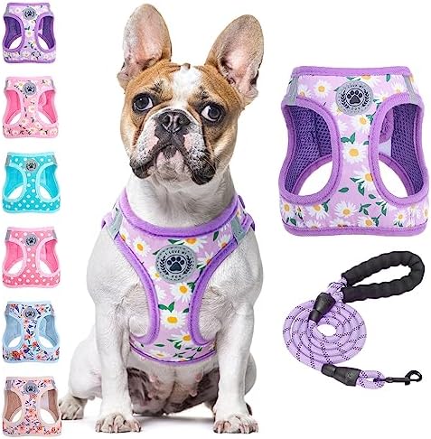 BEAUTYZOO Large Dog Harness and Leash Set, No Pull Puppy Pet Vest by BEAUTYZOO