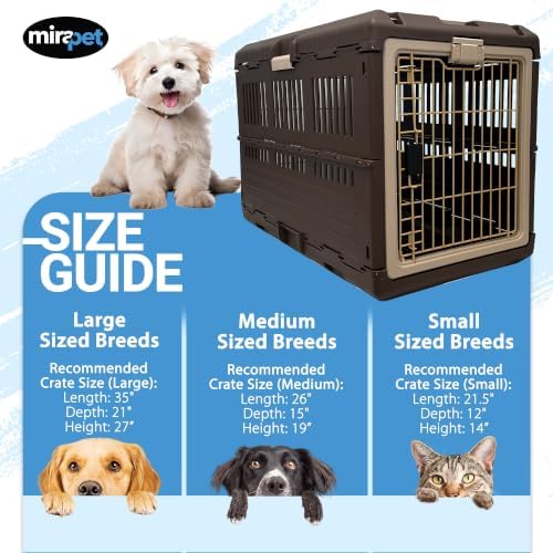 Collapsible Pet Carrier for Large Dogs & Cats - Image 3