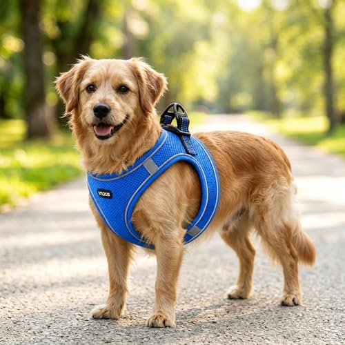 ROYPET Step-in Air Dog Harness, All Weather Mesh Step in Vest Harness - Image 7