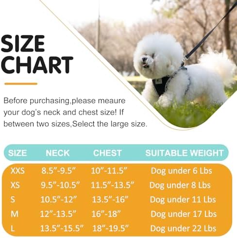 Dog Harness and Leash Set, No Pull Pet Harness - Image 6