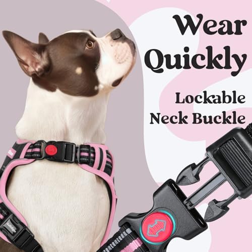rabbitgoo Dog Harness for Large, Updated Easy On & Off - Image 2