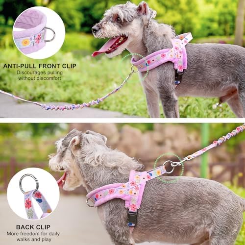 BEAUTYZOO No Pull Small Dog Harness and Leash Set, Soft Puppy Vest Harness - Image 3