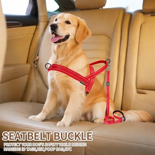 No Pull Dog Harness and 5FT Leash Set - Image 5