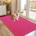 OLANLY Dog Door Mat for Muddy Paws 54x32, Super Absorbent Chenille Mud Mat by OLANLY