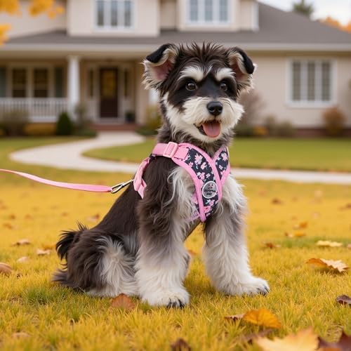 Patas Lague Dog Harness Medium Sized Dog Pet Vest Leash Set Floral Pink M - Image 2