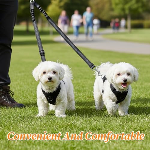 Double Dog Leash for Two Dogs, No Pull Two Dog Leash, No Tangle for Small 2 - Image 2