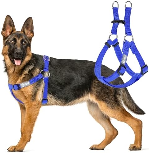 AKC Step-in Dog Harness – Adjustable Solid Color Vest by AmericanKennelClub