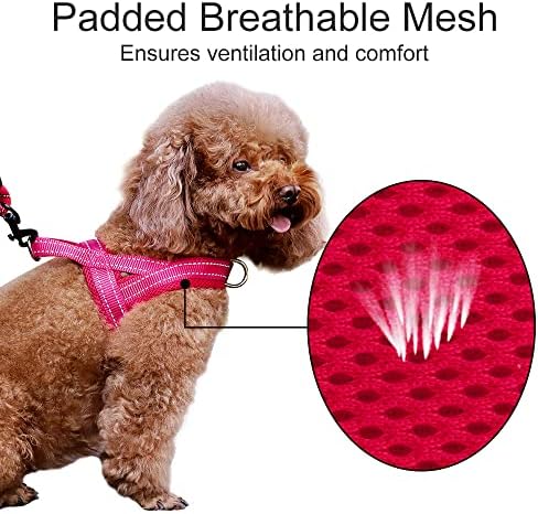 Plutus Pet No Pull Dog Harness for Medium Sized Dog, Breathable Mesh Padded - Image 3