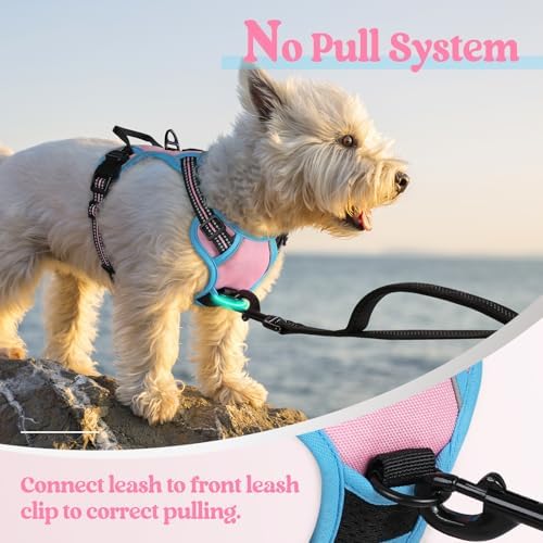 rabbitgoo Dog Harness, No Pull for Small Dogs - Image 5