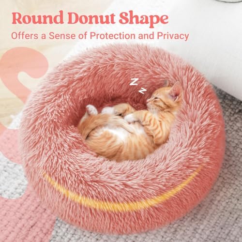 rabbitgoo Calming Cat Beds for Indoor Cats, 20 inches - Image 5